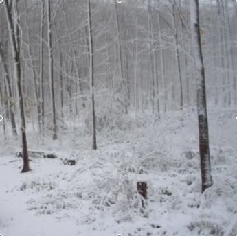 Oct21snow.jpg