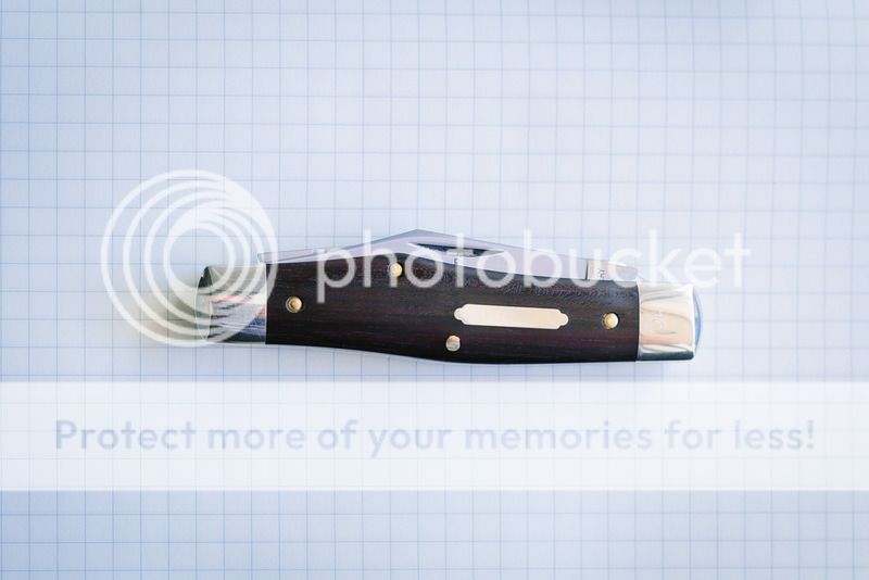 _MG_7521.jpg