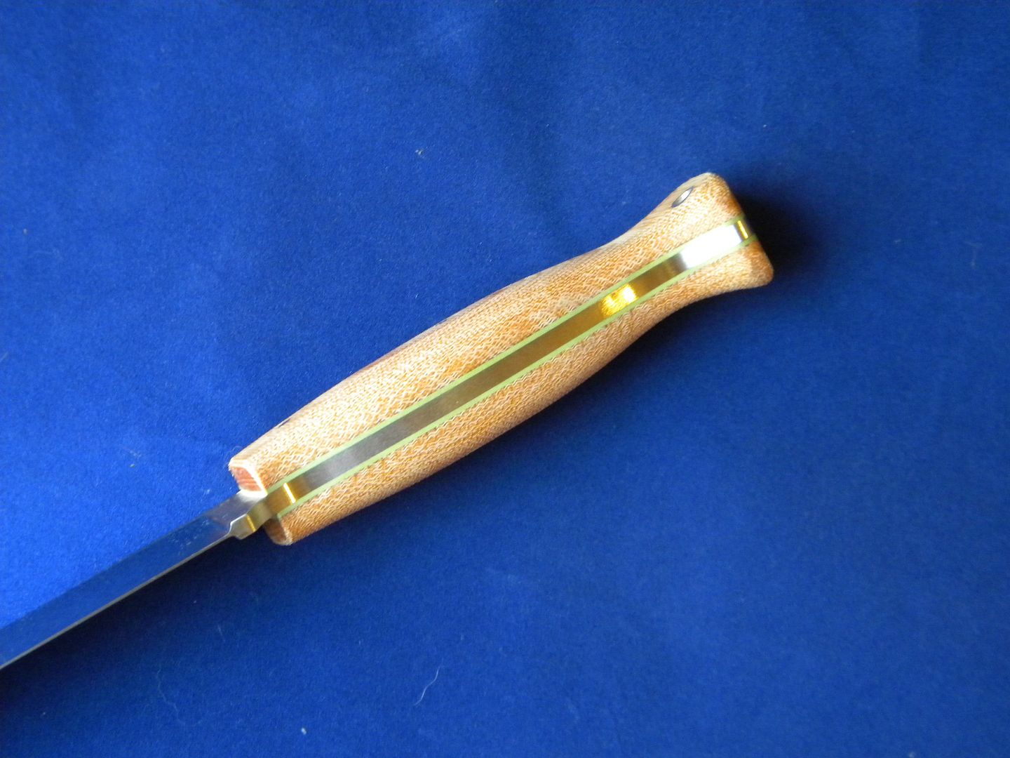 DSCN1968.jpg