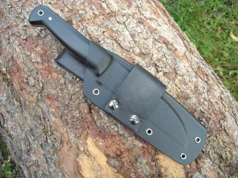 blackwidow005.jpg