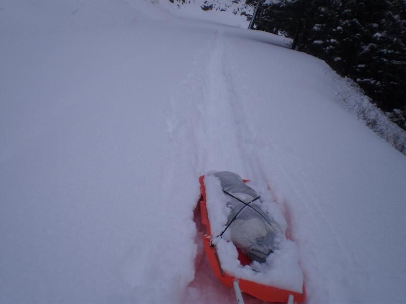 trailbehind_zpsbe3f2a68.jpg