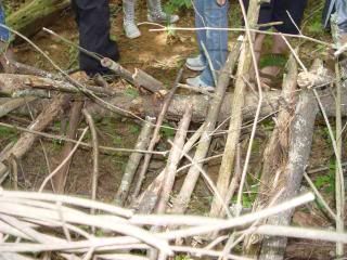 DSC04769.jpg
