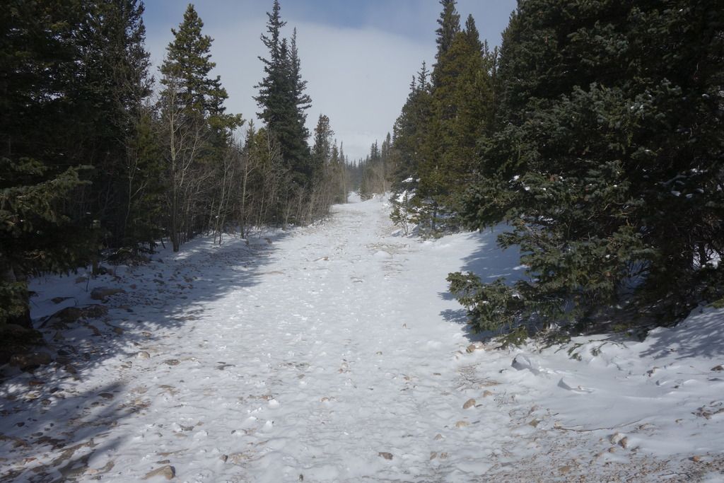 DSC02503_zpsfiwvzjrf.jpg