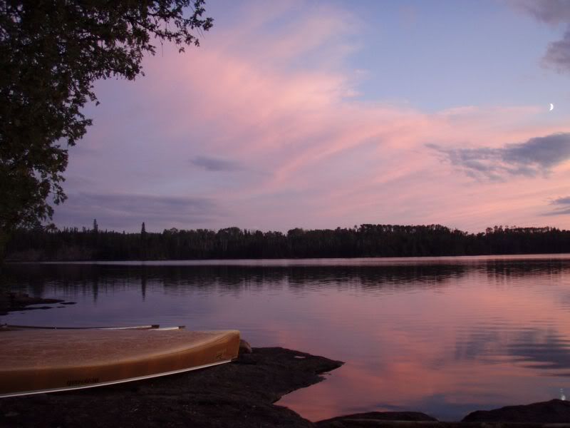 P1010164.jpg