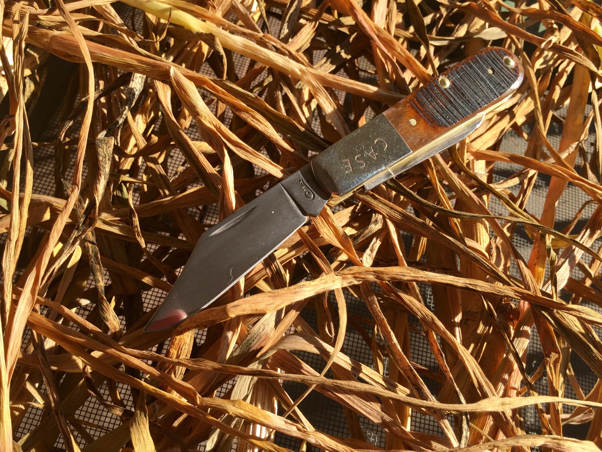w91Cfdv.jpg