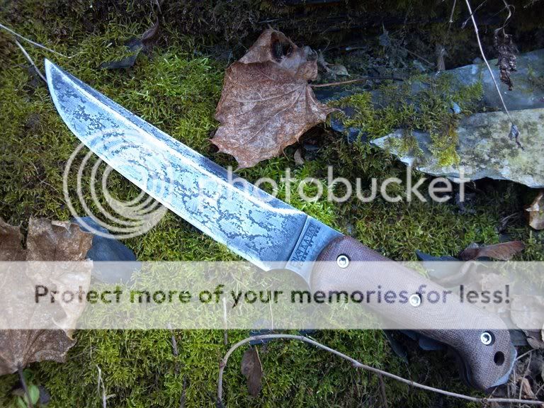 photobucket-2157-1325452420648.jpg