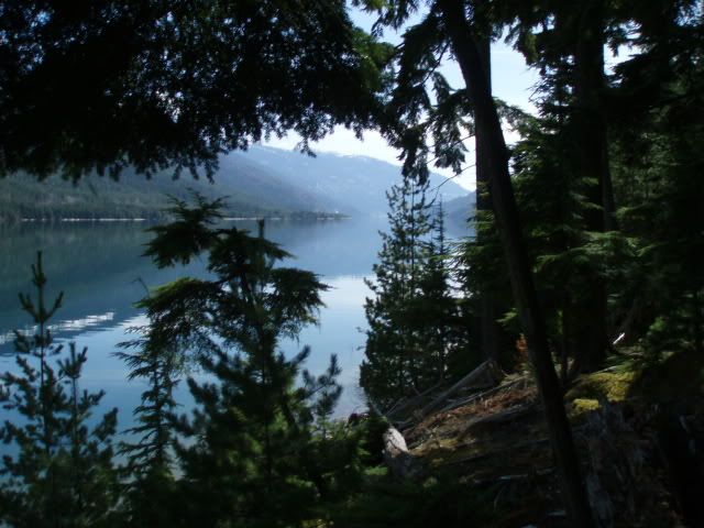 fatwood013.jpg