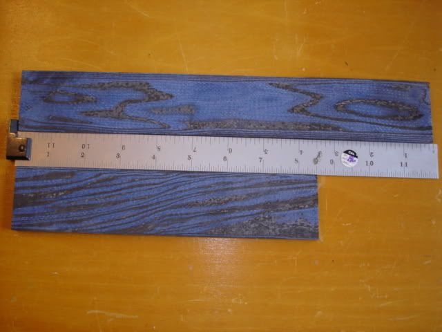 DSC02328.jpg