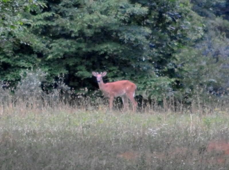 DSC_3254.jpg