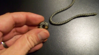 103_9588.JPG