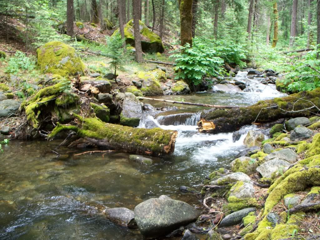 100_1158.jpg