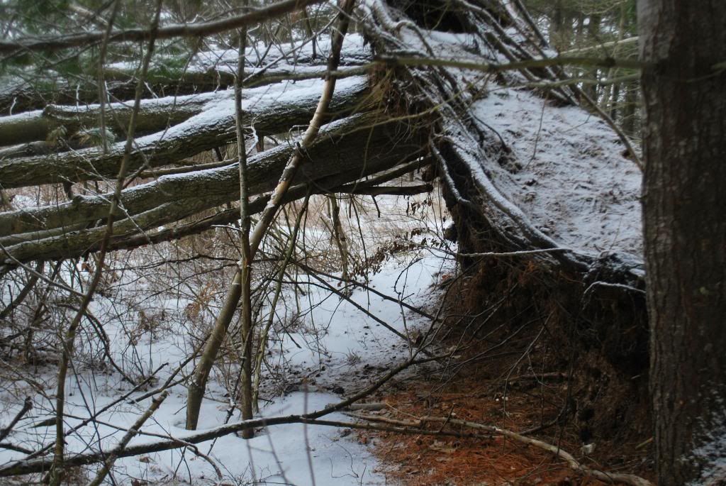 DSC_0072-5.jpg