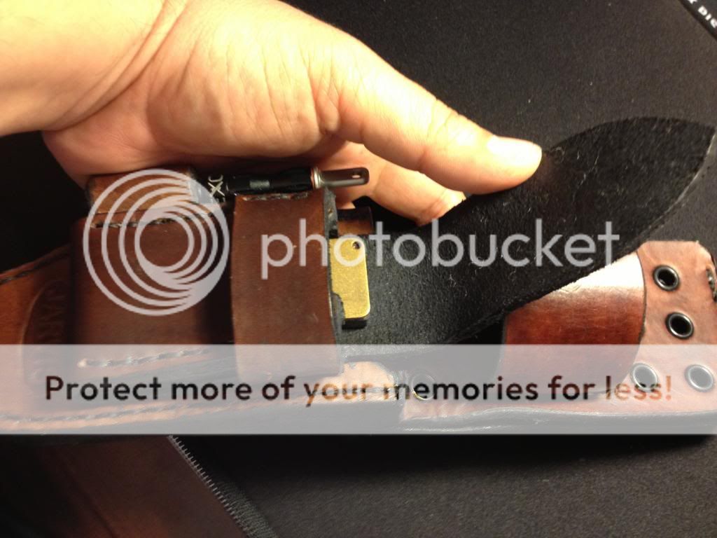 IMG_0310_zpsa61199e1.jpg
