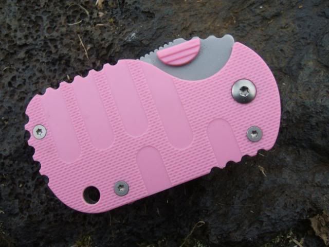 DSCF4072.jpg