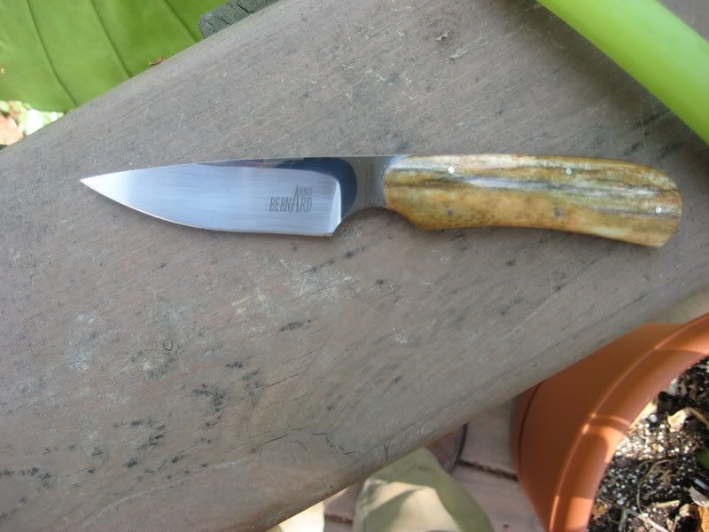 arnobernard001.jpg