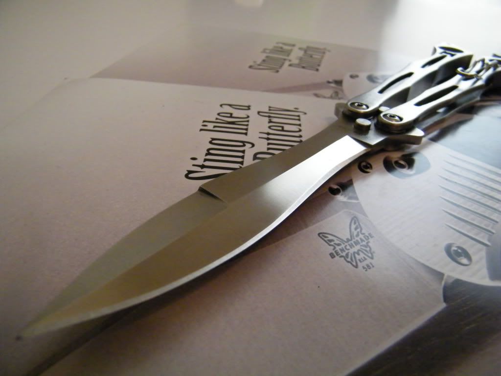 DSCF8003.jpg