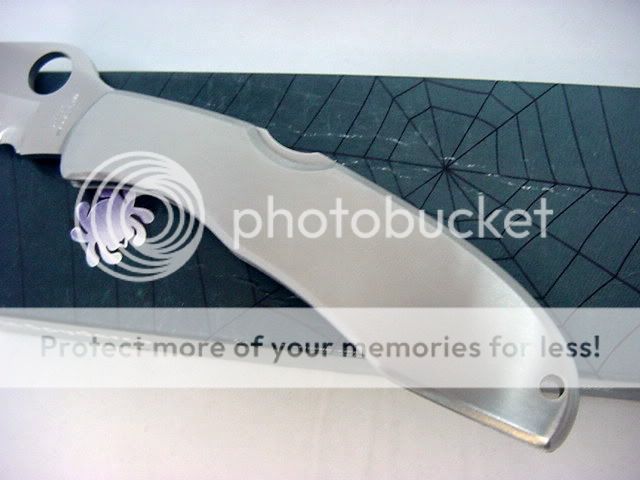 DSC00004.jpg