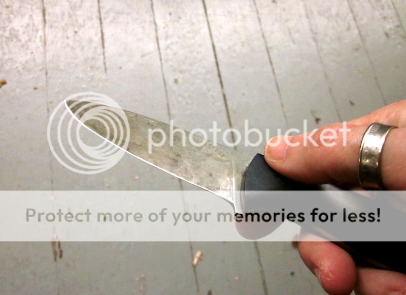 IMG_0551.jpg~original