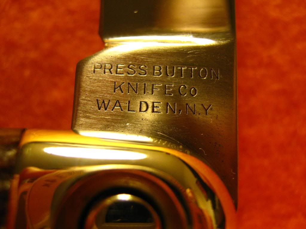 pic7.jpg