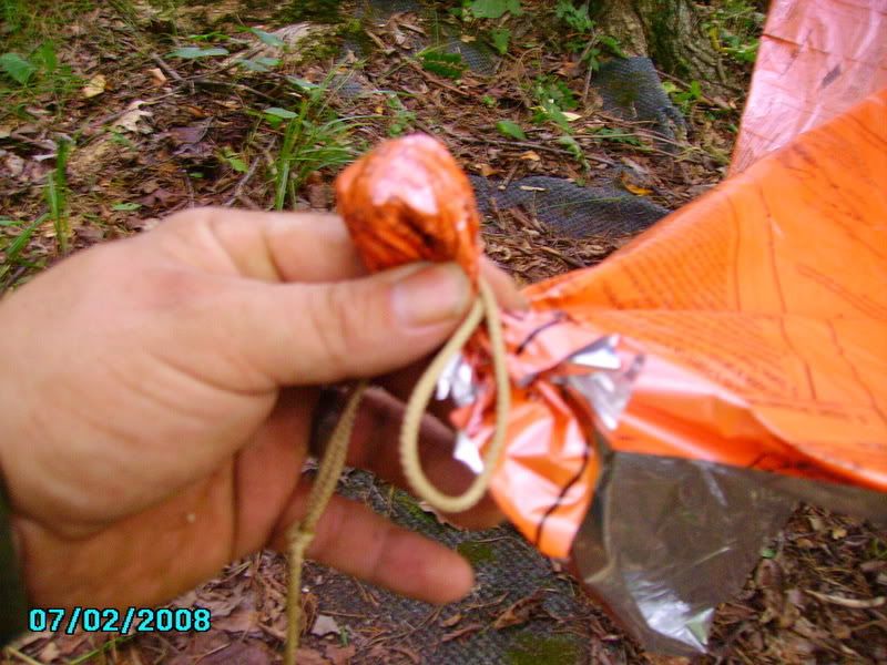 PICT0746.jpg