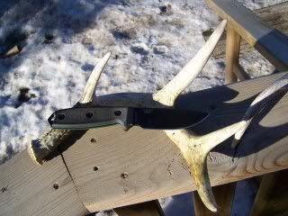 100_6757.jpg