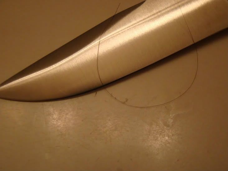 fuzzhair.jpg