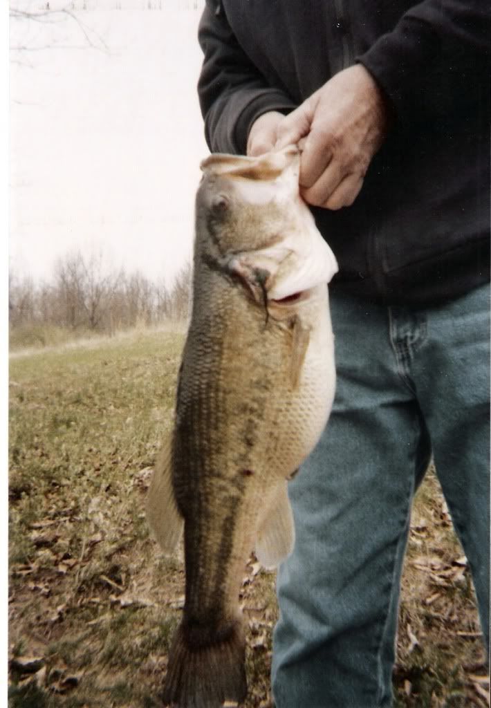 75lbbass0012.jpg