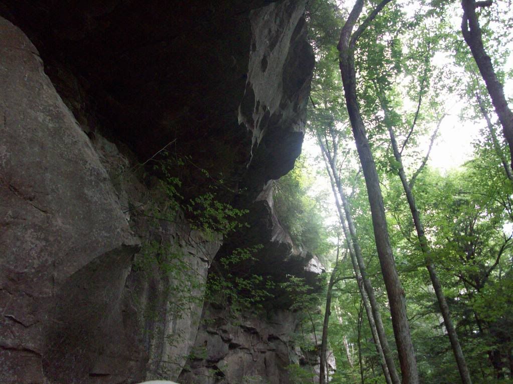 100_4859.jpg