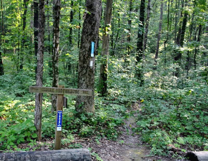 DSC_0993.jpg