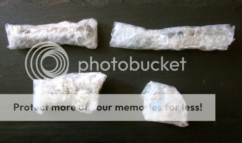 IMG_3518.jpg~original