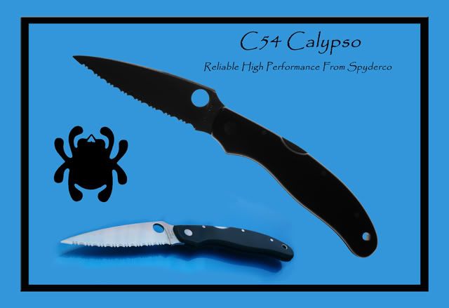 CalypsoadFramedPB2.jpg