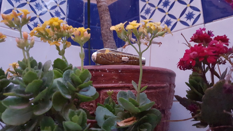 20160210.jpg
