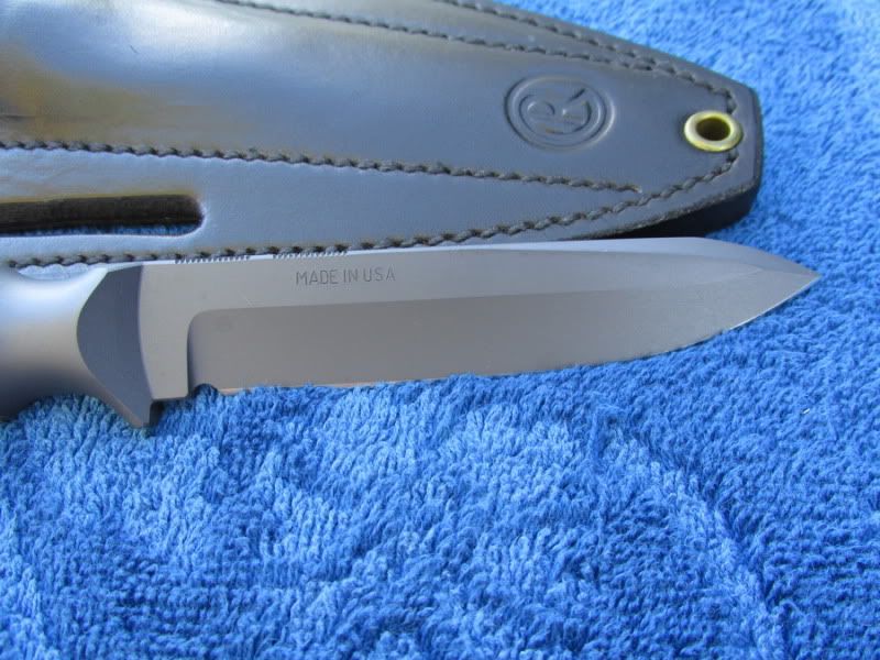 shadIII-5.jpg