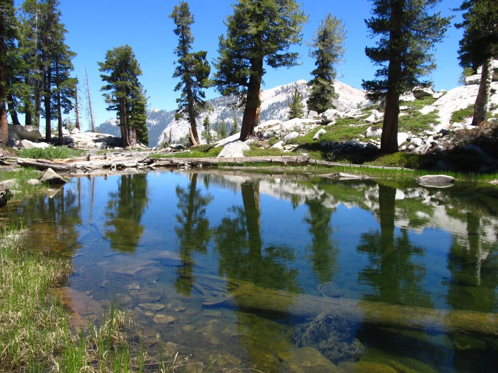 IMG_1654.jpg