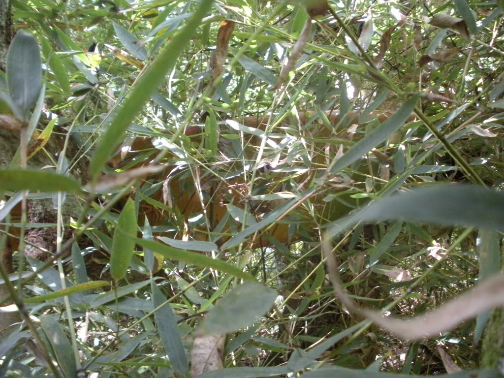 DSCN0751.jpg
