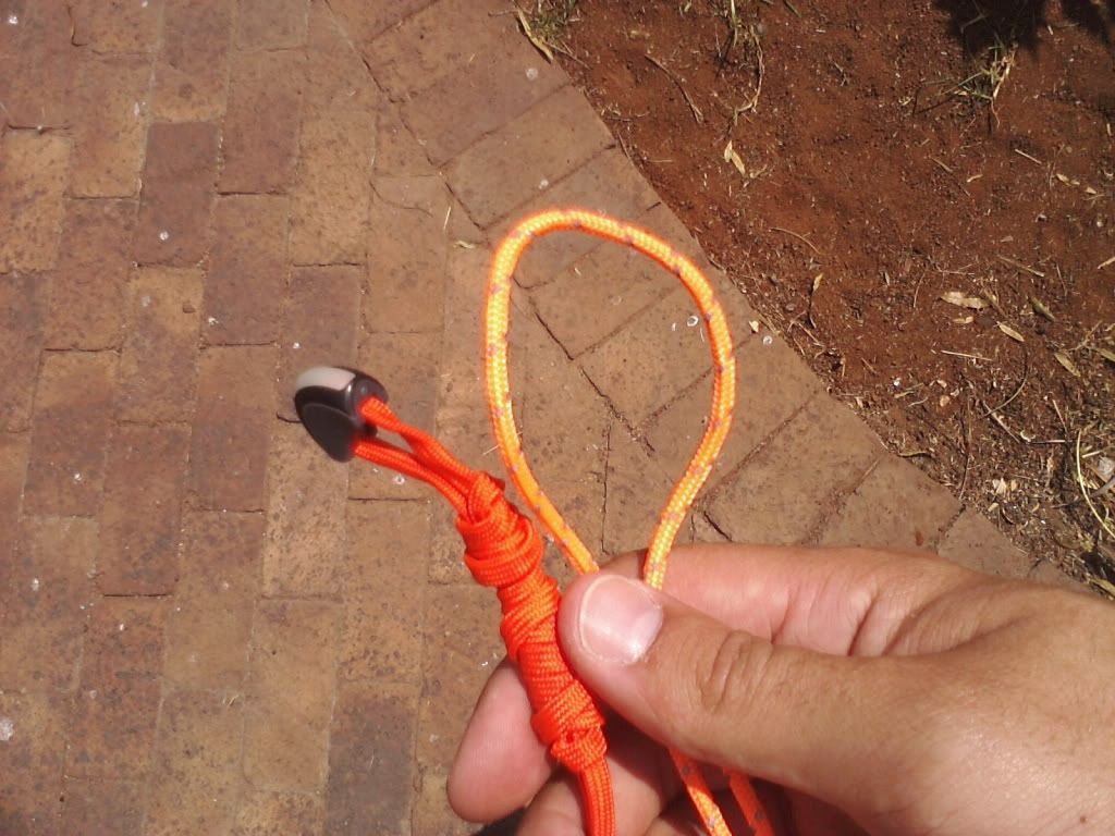 P30-09-10_12-53.jpg
