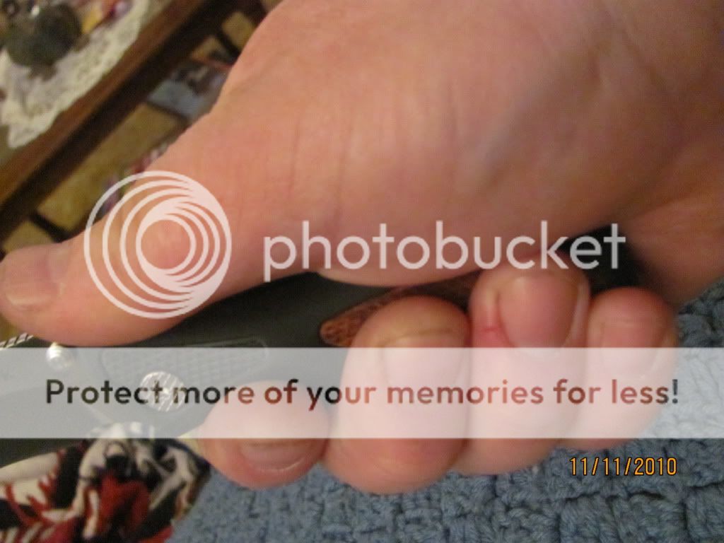 009-10.jpg