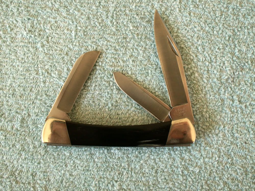 Buff701a.jpg
