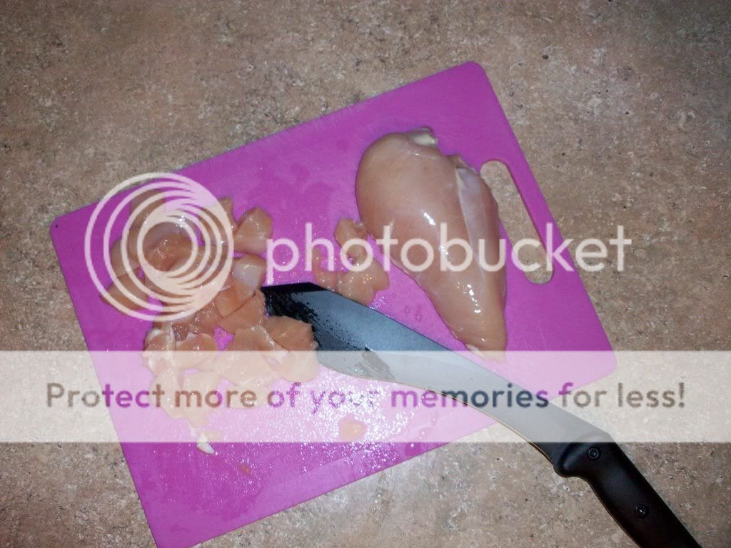 100_2880.jpg