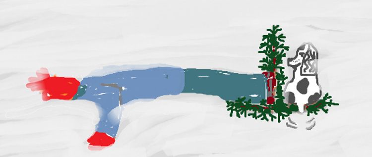 SNOWSHOEINGDOGSSURVIVALCROPPED750_zps1e586570.jpg