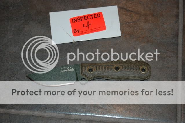 DSC_0943.jpg