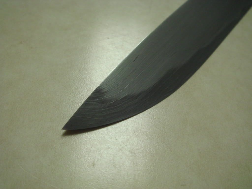 DSC02439.jpg
