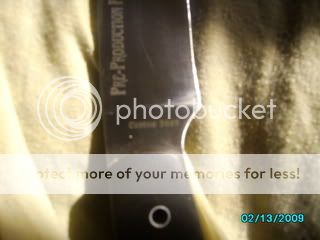 pics006.jpg