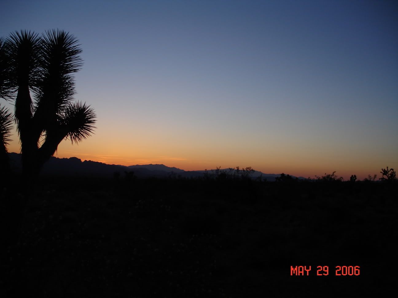 NaturePics06005.jpg