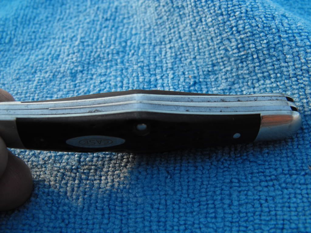DSCF0026.jpg