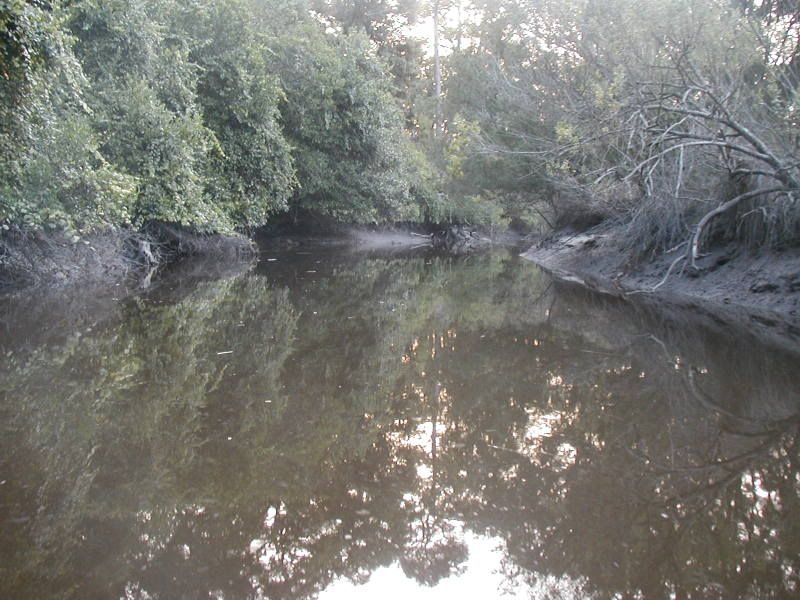 P8090166copy.jpg