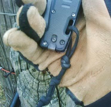 IMG00410.jpg