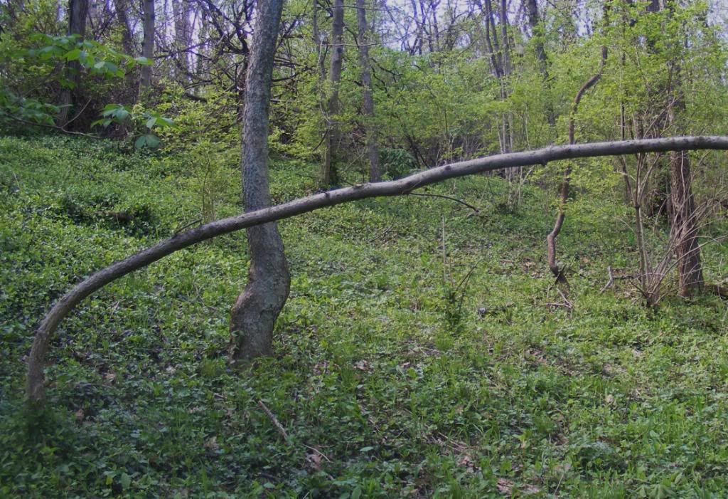021-29.jpg