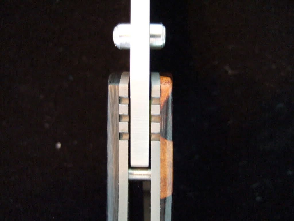 DSCF0019.jpg