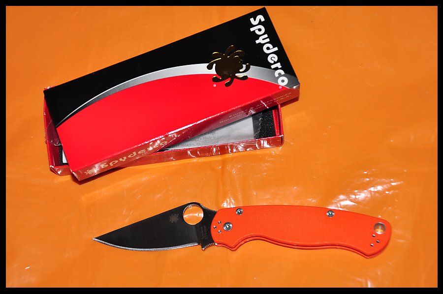 orange_pm2_zps2745fa7b.jpg